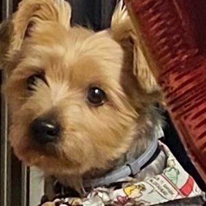 Meet your Posher, Susana